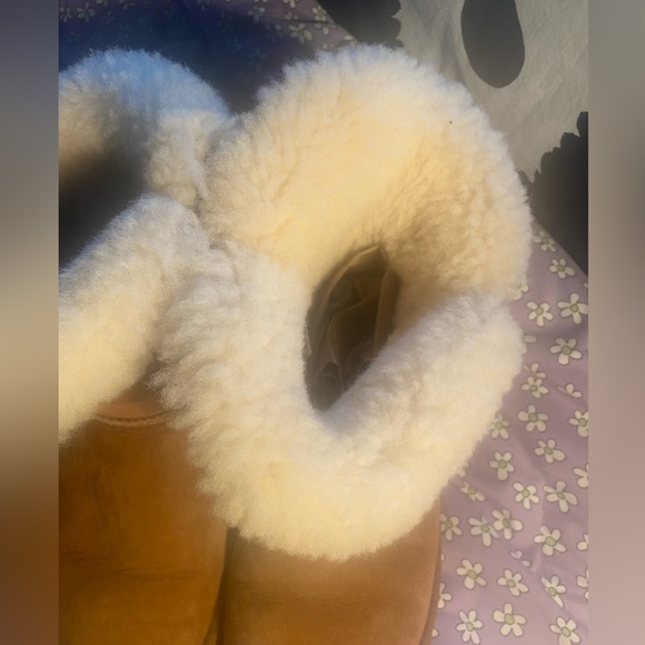 UGG Chestnut Ankle Boots with Shearling Lining - Picture 2 of 5